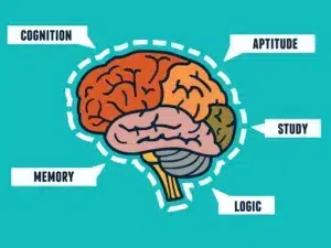 Boosting Cognitive Development in Autism: The Role of Sensory Toys