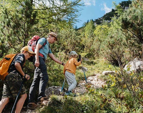 A family walking a wooded trail together, one child carried in a pack
