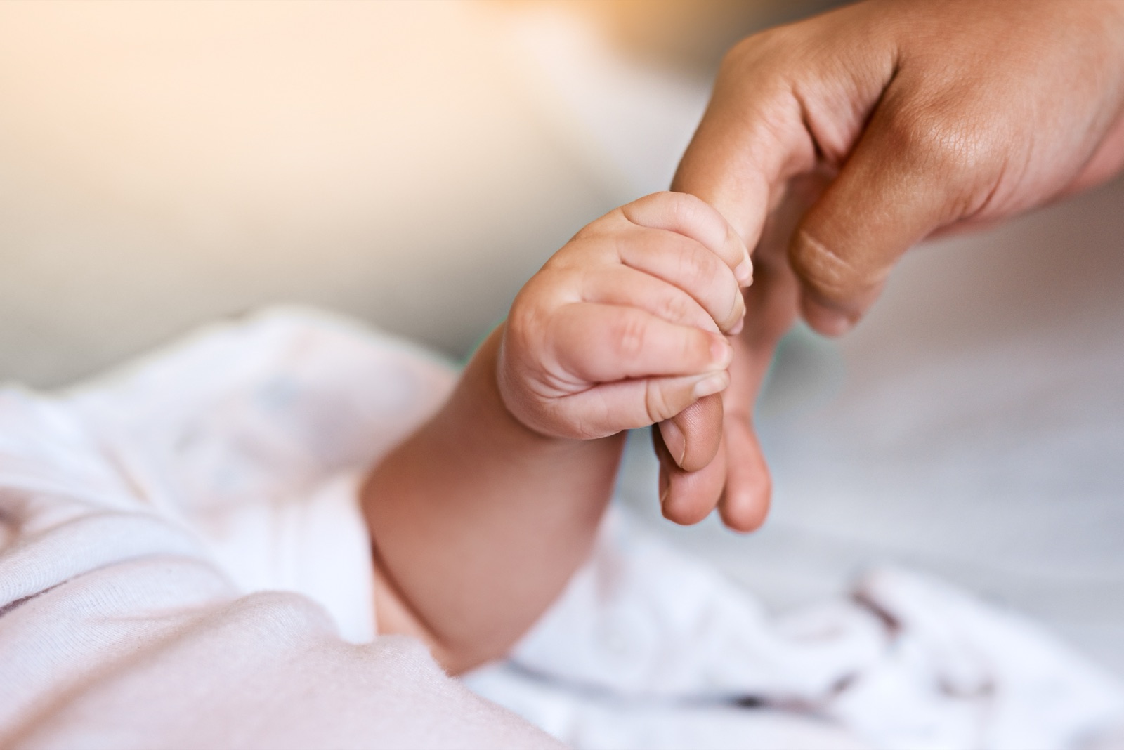 A newborn baby&rsquo;s hand holding an adult&rsquo;s finger.
