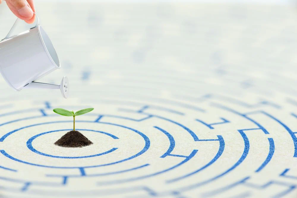 What causes Sensory Processing Disorders?