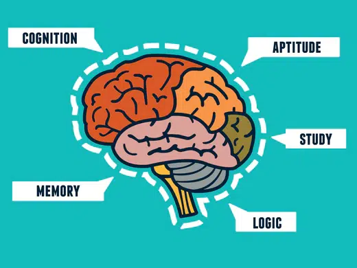 Boosting Cognitive Development in Autism: The Role of Sensory Toys