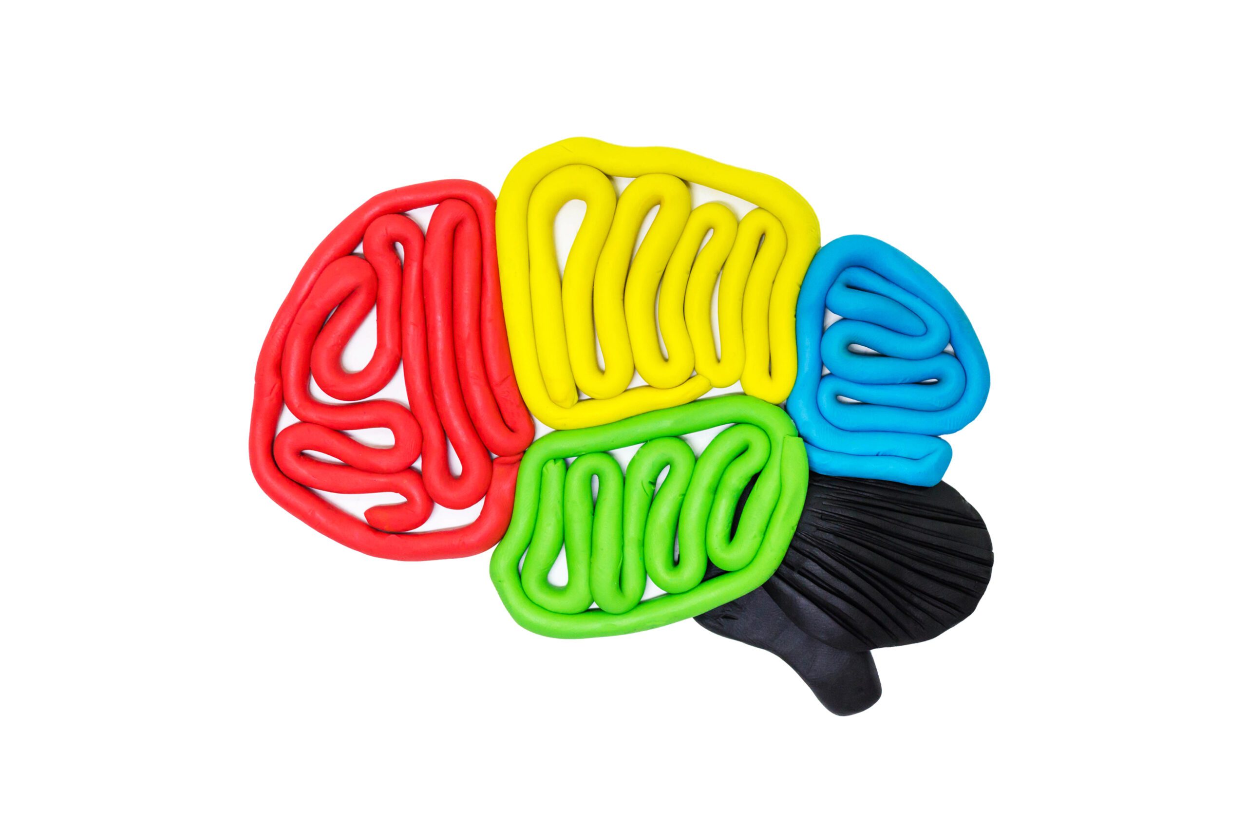 The Science Behind Sensory Integration Therapy and How It Works